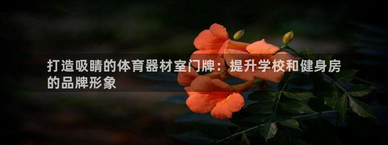 耀世娱乐如何登录平台账号：打造吸睛的体育器材室门牌：