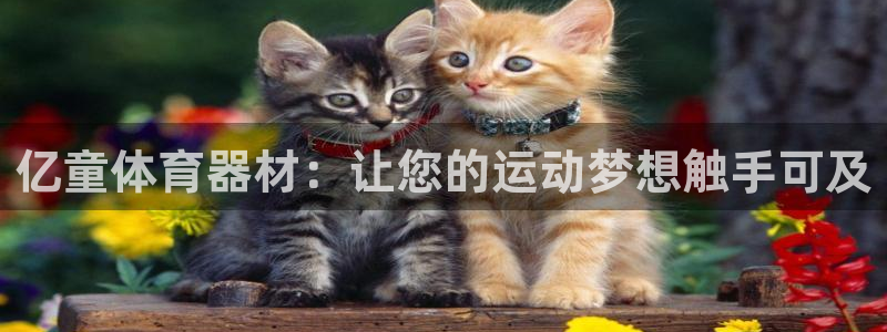 耀世平台主管代理怎么做：亿童体育器材：让您的运动梦想
