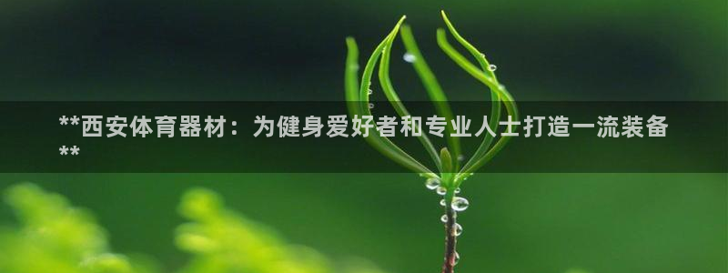 耀世集团王大聪简介：**西安体育器材：为健身爱好者和