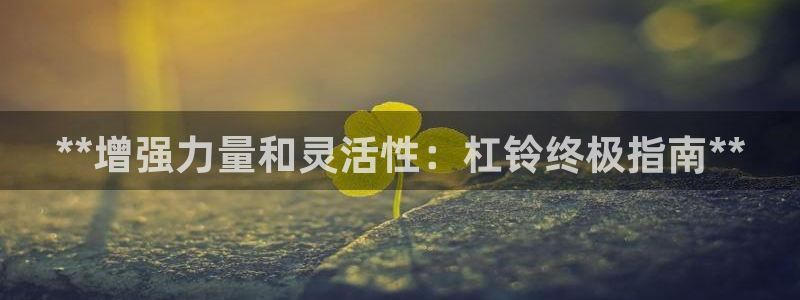 耀世辉煌：**增强力量和灵活性：杠铃终极指南**