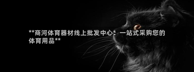 耀世平台有很多登录地址怎么回事：**商河体育器材线上