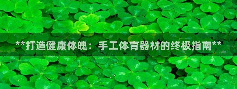 耀世集团四个字的图片：**打造健康体魄：手工体育器材
