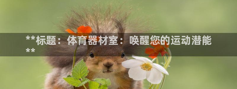 耀世登场什么意思：**标题：体育器材室：唤醒您的运动
