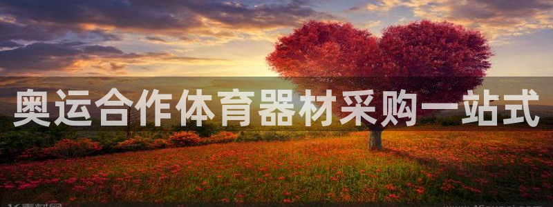 耀世娱乐辅助软件下载安装：奥运合作体育器材采购一站式