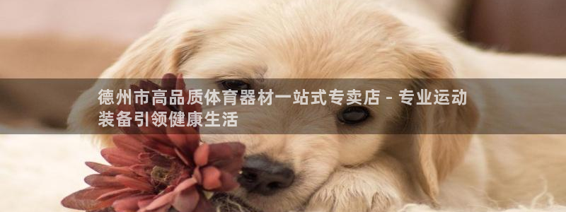 耀世平台招商怎么样：德州市高品质体育器材一站式专卖店
