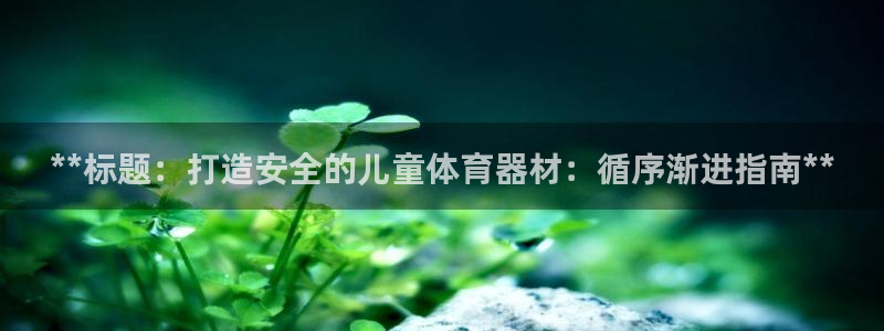 耀世平台升 411O31 耀世：**标题：打造安全的