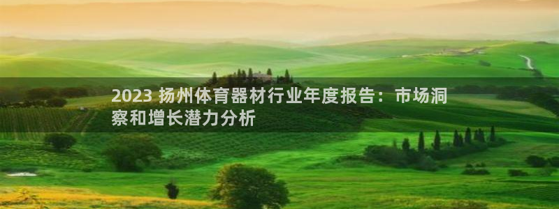耀世而生什么意思：2023 扬州体育器材行业年度报告