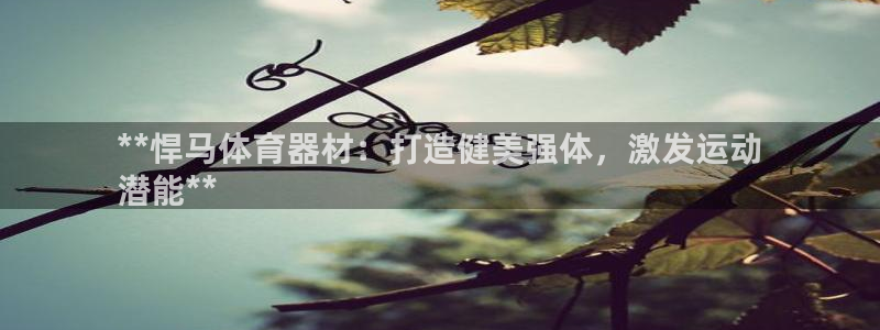 耀世平台代理怎么样啊：**悍马体育器材：打造健美强体
