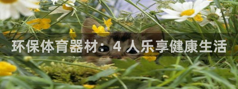 耀世娱乐能不能提现到支付宝：环保体育器材：4 人乐享