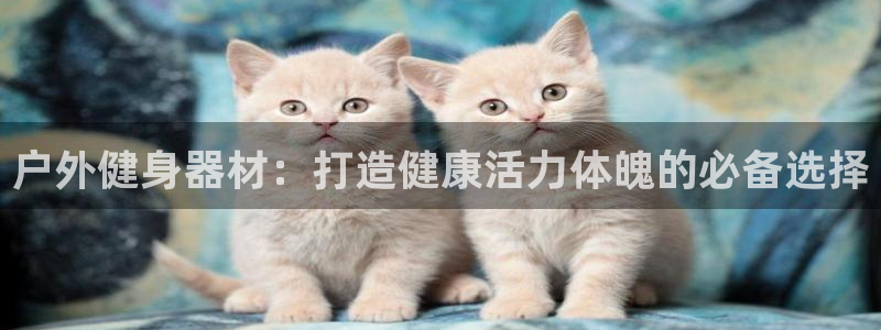 耀世平台军7O777：户外健身器材：打造健康活力体魄