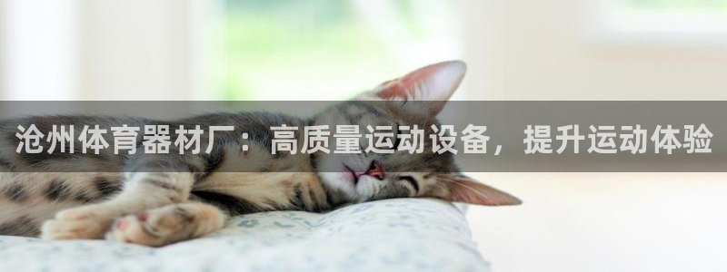耀世集团商业联盟怎么样：沧州体育器材厂：高质量运动设