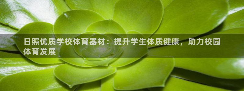 耀世集团商业联盟怎么样：日照优质学校体育器材：提升学