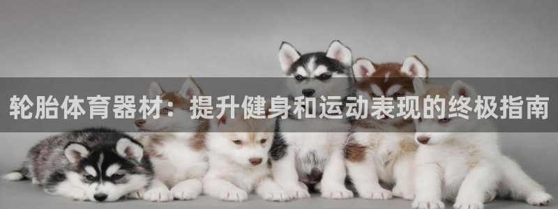耀世国际平台正规吗安全吗是真的吗：轮胎体育器材：提升