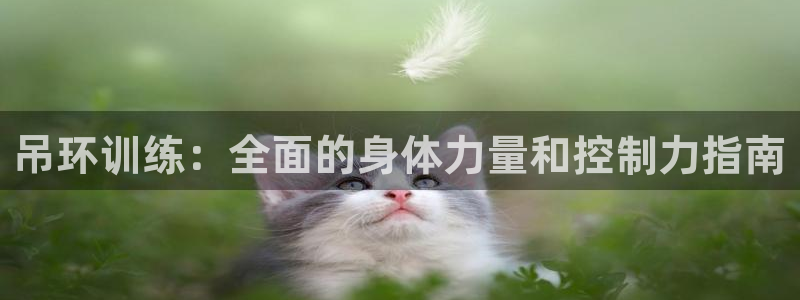 耀世国际平台正规吗可靠吗知乎：吊环训练：全面的身体力