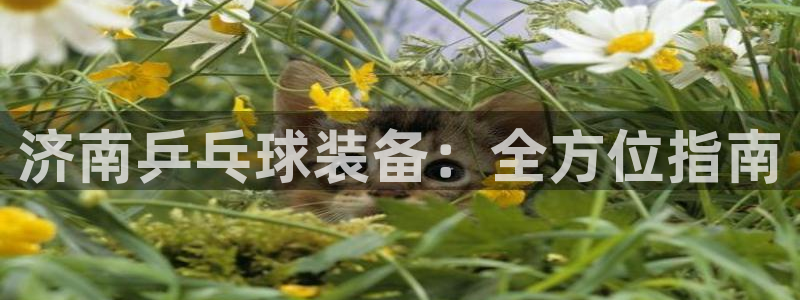 耀世娱乐登录注册：济南乒乓球装备：全方位指南