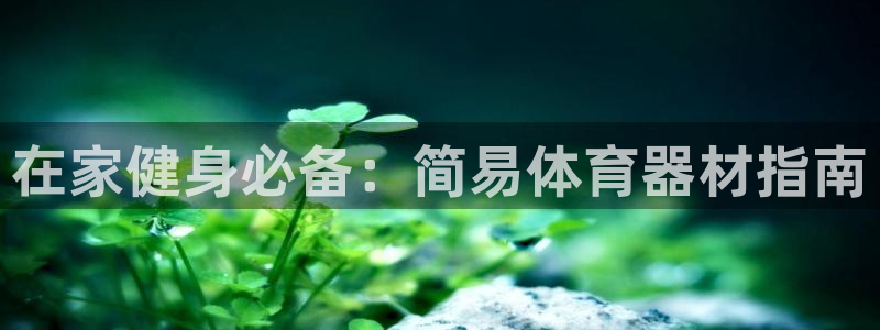 耀世娱乐骗局曝光：在家健身必备：简易体育器材指南