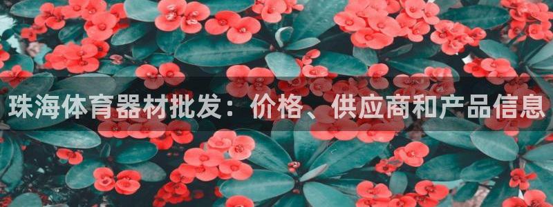 耀世挑战第3关怎么过：珠海体育器材批发：价格、供应商