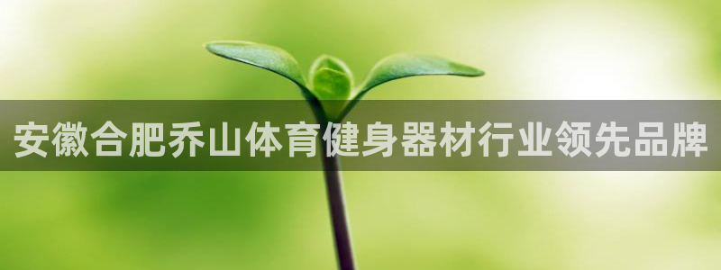 耀世娱乐app下载官网苹果：安徽合肥乔山体育健身器材