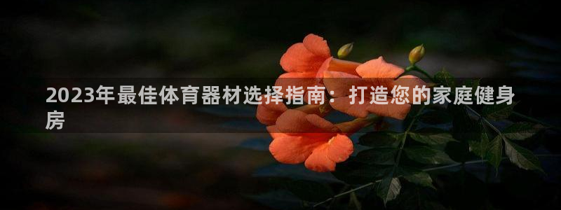 耀世平台招商：2023年最佳体育器材选择指南：打造您