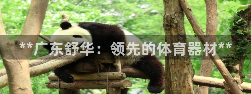 耀世娱乐中国总部地址：**广东舒华：领先的体育器材*