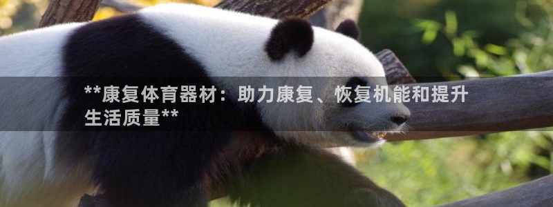 耀世平台开户：**康复体育器材：助力康复、恢复机能和