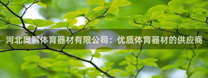 耀世娱乐是个什么平台：河北奥鹏体育器材有限公司：优质
