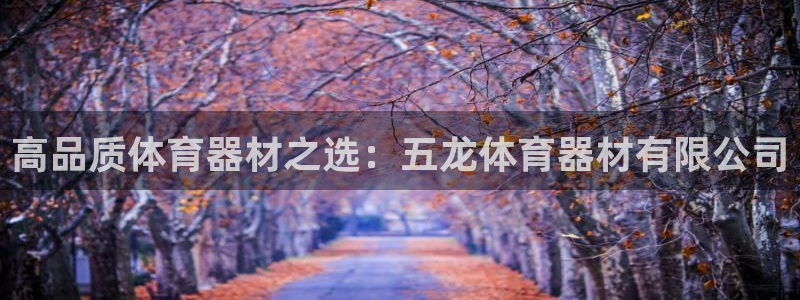 耀世娱乐平台注册地址在哪里看：高品质体育器材之选：五