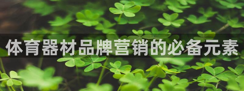 耀世国际平台正规吗可靠吗可信吗：体育器材品牌营销的必