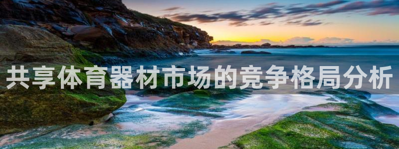 耀世国际平台正规吗可信吗知乎：共享体育器材市场的竞争