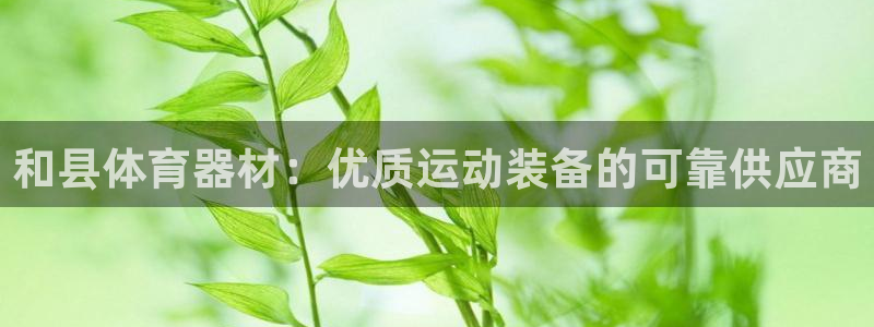 耀世平台注册最新地址：和县体育器材：优质运动装备的可
