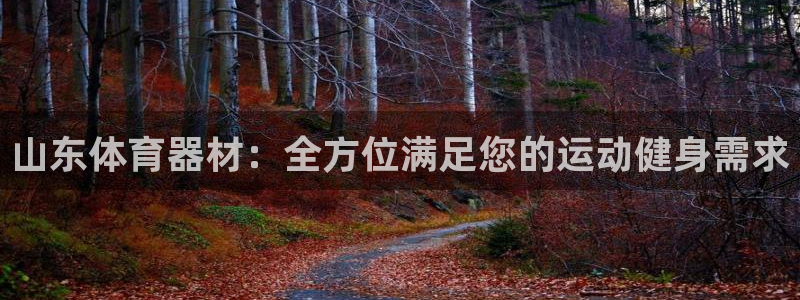 耀世集团耀哥：山东体育器材：全方位满足您的运动健身需