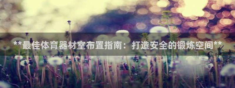 耀世天下怎么接：**最佳体育器材室布置指南：打造安全