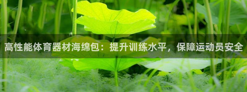 耀世集团是什么电影院：高性能体育器材海绵包：提升训练