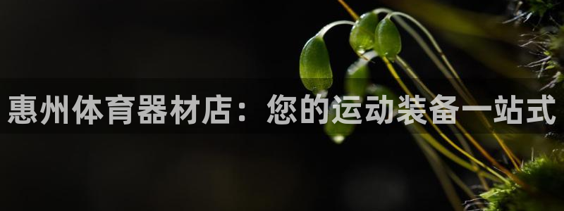 耀世集团员工福利待遇：惠州体育器材店：您的运动装备一