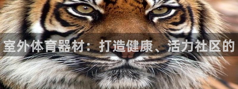 耀世盛典下载：室外体育器材：打造健康、活力社区的