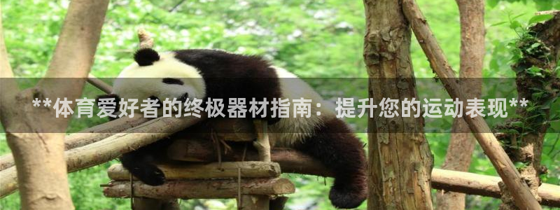 耀世国际平台正规吗可信吗安全吗：**体育爱好者的终极