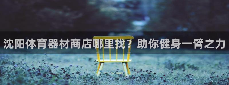 耀世官网入口：沈阳体育器材商店哪里找？助你健身一臂之