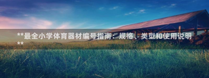 耀世娱乐创3.3.4.8.2菲特：**最全小学体育器