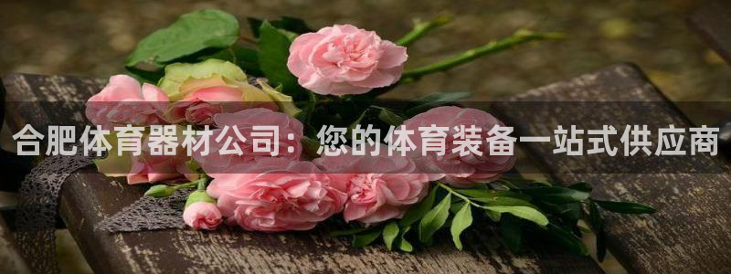 耀世娱乐赢咖APP：合肥体育器材公司：您的体育装备一