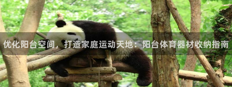 耀世娱乐安全吗可信吗：优化阳台空间，打造家庭运动天地