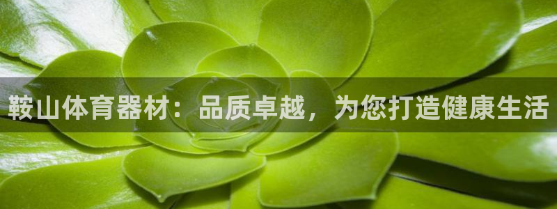耀世集团董事长儿子：鞍山体育器材：品质卓越，为您打造