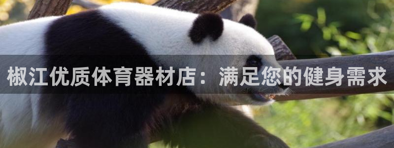 耀世娱乐能不能提现到微信：椒江优质体育器材店：满足您