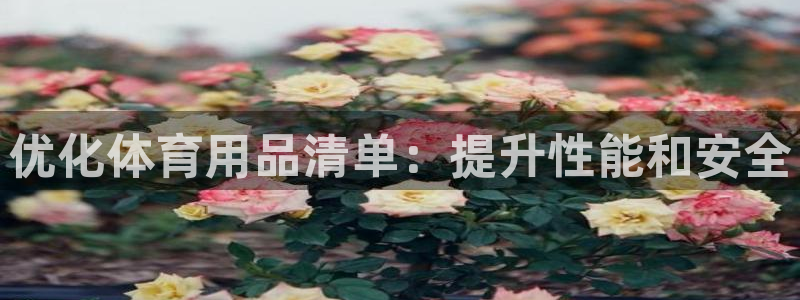 耀世娱乐登陆地址：优化体育用品清单：提升性能和安全