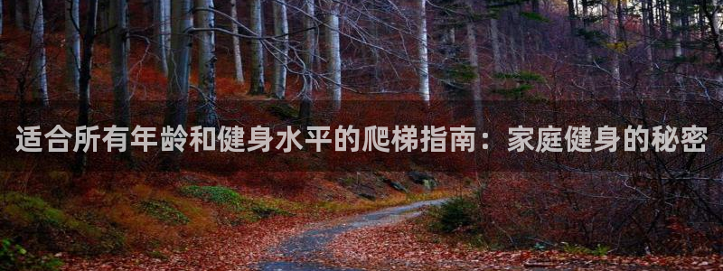 耀世平台是黑台子吗知乎：适合所有年龄和健身水平的爬梯