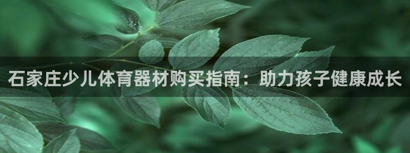 耀世璀璨什么意思：石家庄少儿体育器材购买指南：助力孩