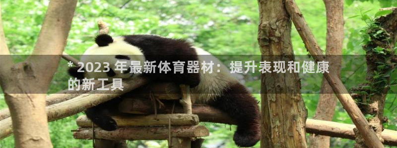 耀世圣主：* 2023 年最新体育器材：提升表现和健