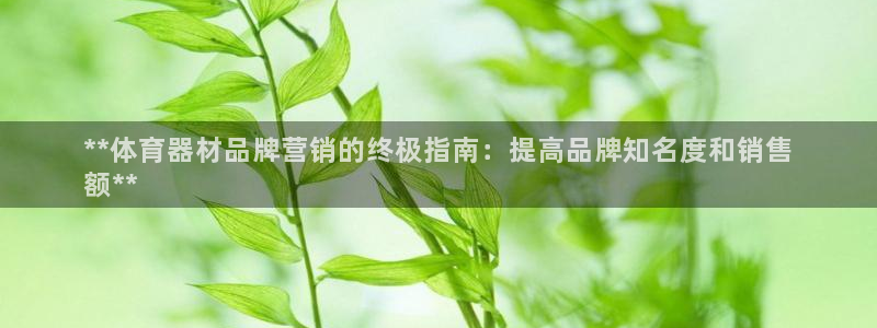 耀世娱乐网站下载：**体育器材品牌营销的终极指南：提