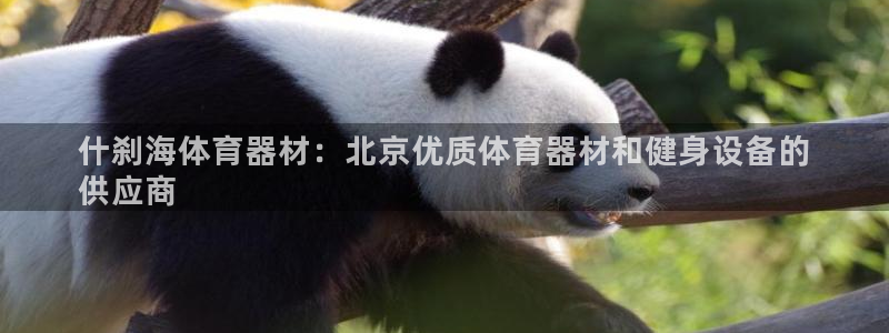 耀世开启什么意思：什刹海体育器材：北京优质体育器材和