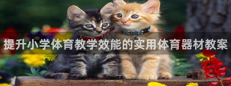 耀世娱乐客服电话多少：提升小学体育教学效能的实用体育