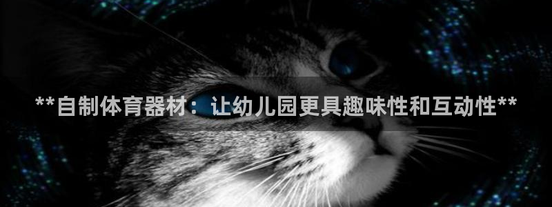 耀世平台有很多登录地址怎么办：**自制体育器材：让幼